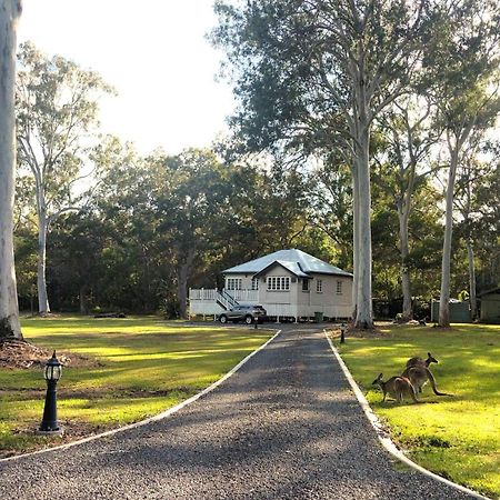 Lake Weyba Noosa Lodge & Kangaroos Peregian Beach Exterior photo