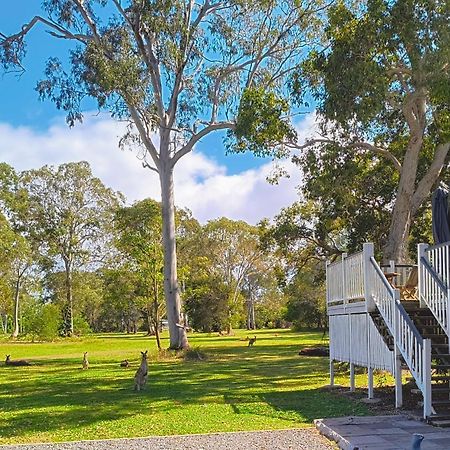 Lake Weyba Noosa Lodge & Kangaroos Peregian Beach Exterior photo