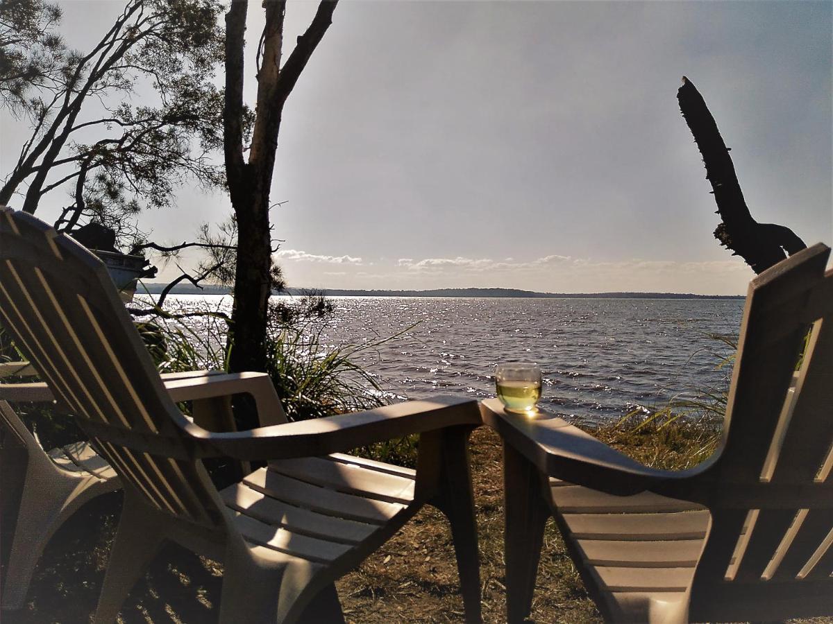 Lake Weyba Noosa Lodge & Kangaroos Peregian Beach Exterior photo