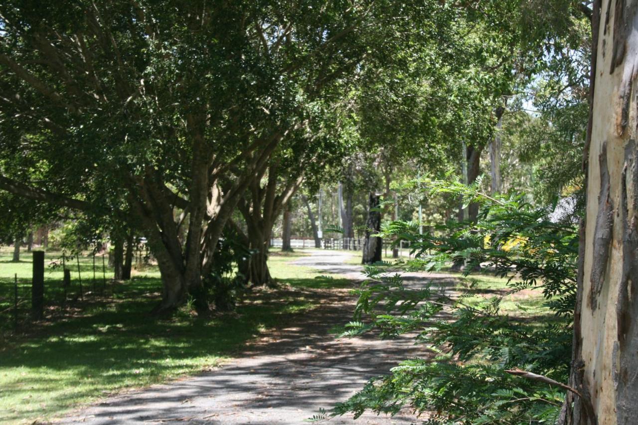 Lake Weyba Noosa Lodge & Kangaroos Peregian Beach Exterior photo