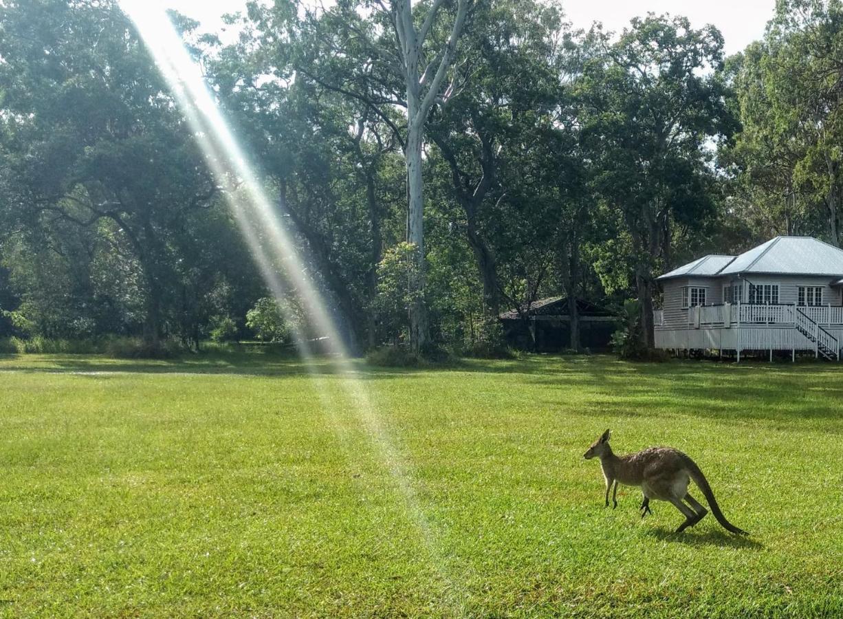 Lake Weyba Noosa Lodge & Kangaroos Peregian Beach Exterior photo