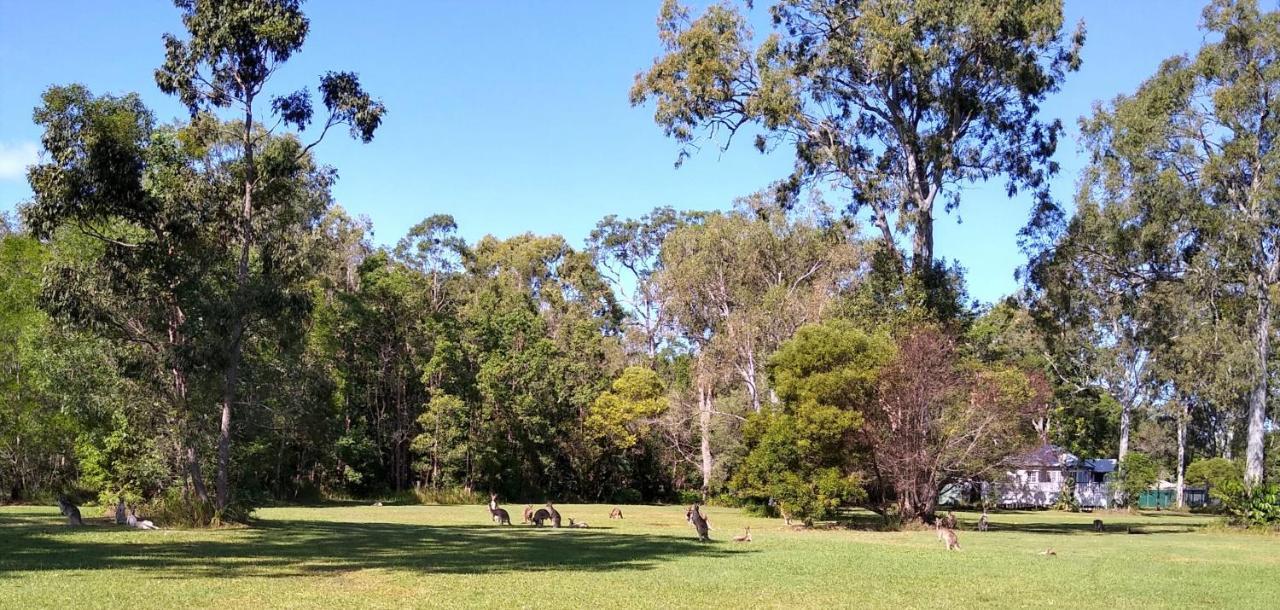 Lake Weyba Noosa Lodge & Kangaroos Peregian Beach Exterior photo