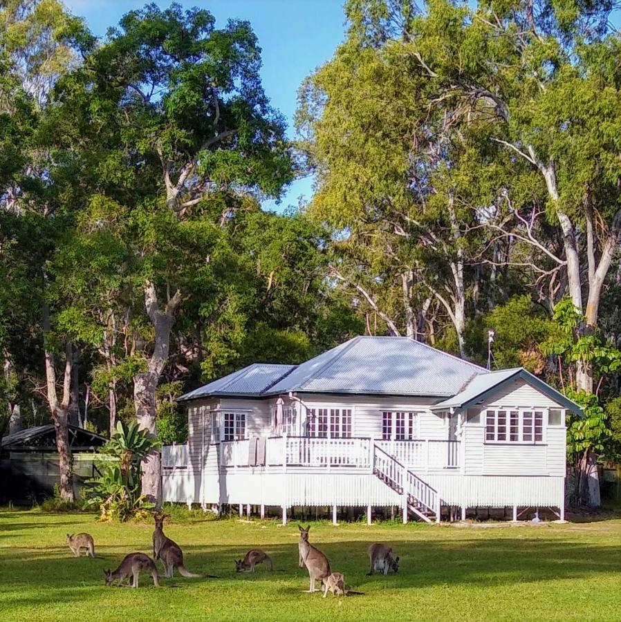 Lake Weyba Noosa Lodge & Kangaroos Peregian Beach Exterior photo