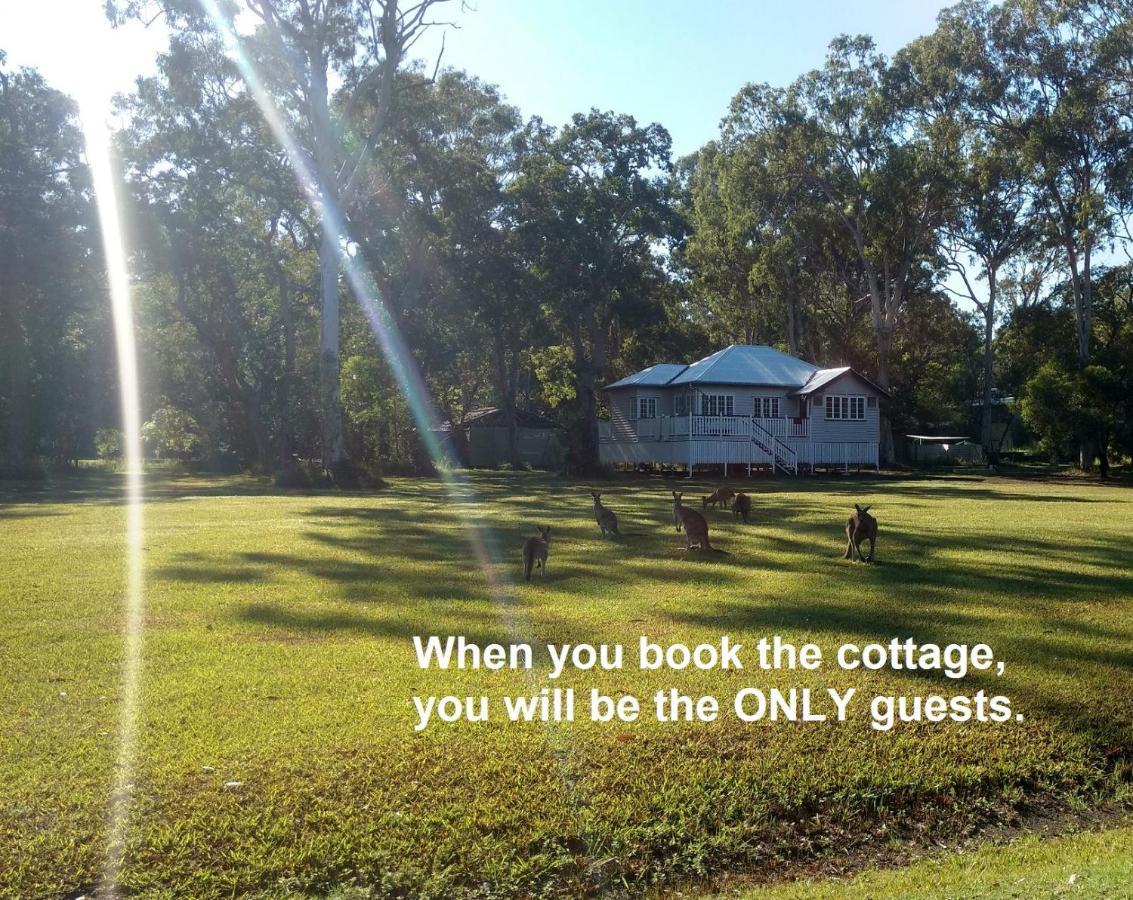 Lake Weyba Noosa Lodge & Kangaroos Peregian Beach Exterior photo