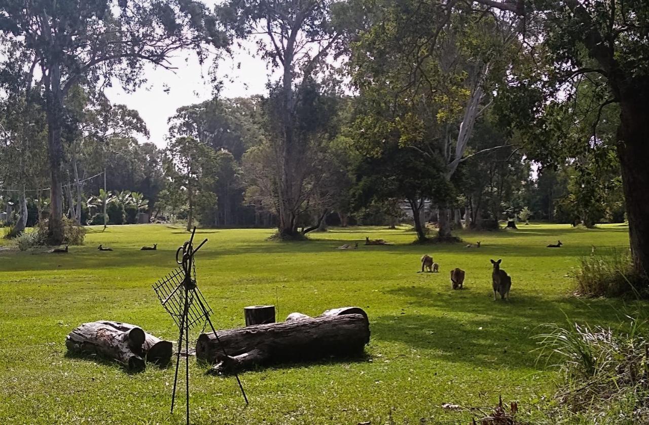 Lake Weyba Noosa Lodge & Kangaroos Peregian Beach Exterior photo