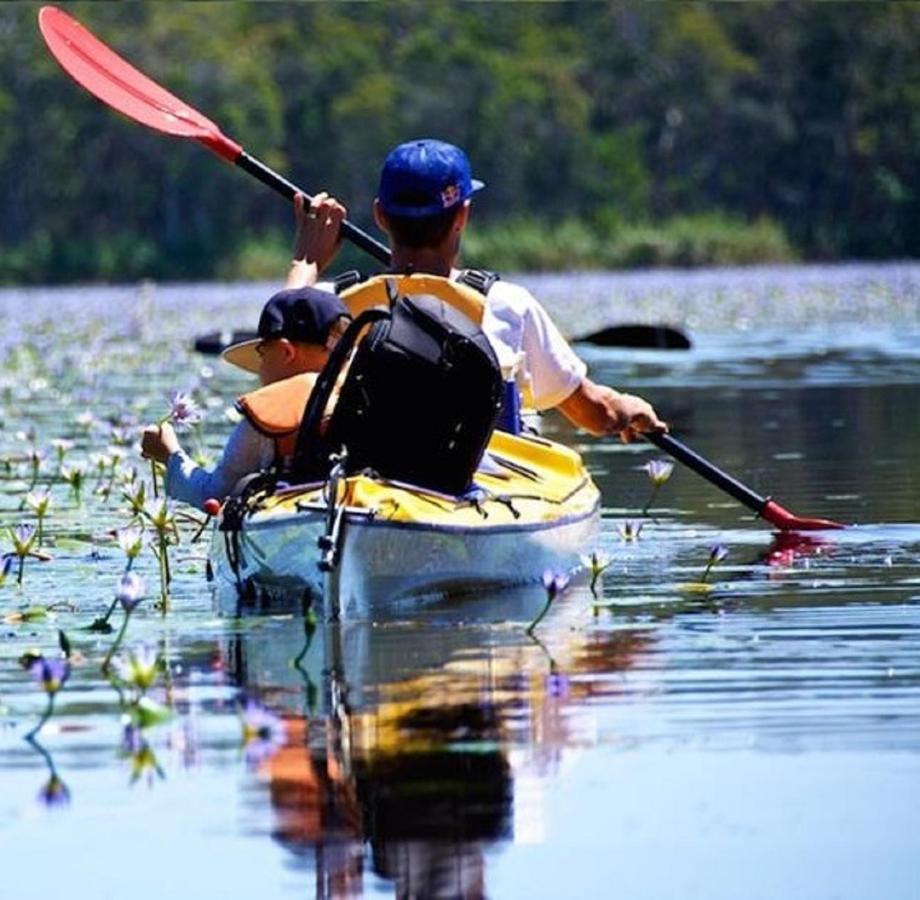 Lake Weyba Noosa Lodge & Kangaroos Peregian Beach Exterior photo