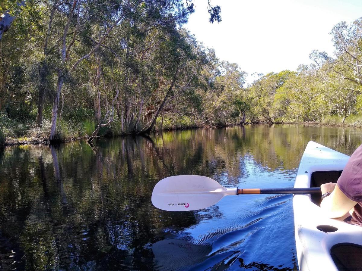 Lake Weyba Noosa Lodge & Kangaroos Peregian Beach Exterior photo