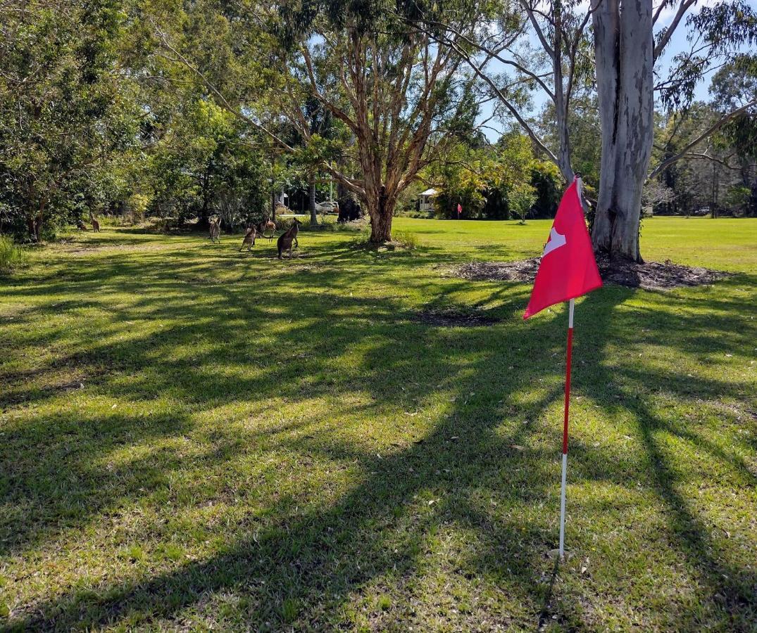 Lake Weyba Noosa Lodge & Kangaroos Peregian Beach Exterior photo