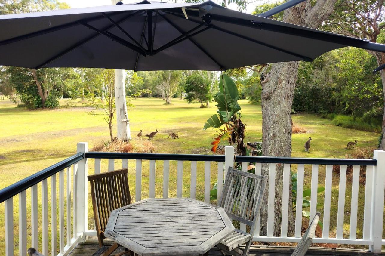 Lake Weyba Noosa Lodge & Kangaroos Peregian Beach Exterior photo