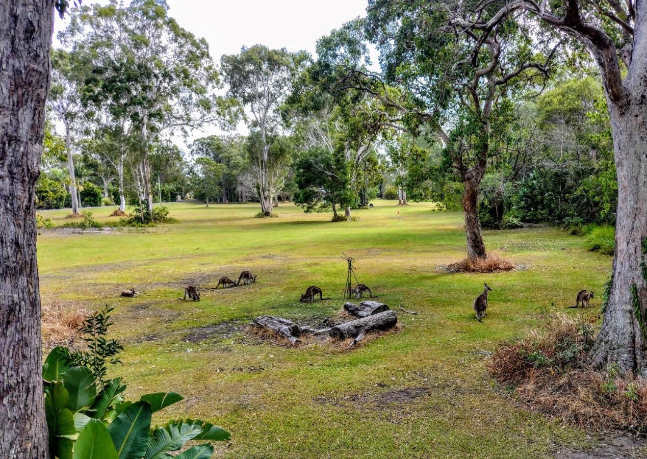 Lake Weyba Noosa Lodge & Kangaroos Peregian Beach Exterior photo