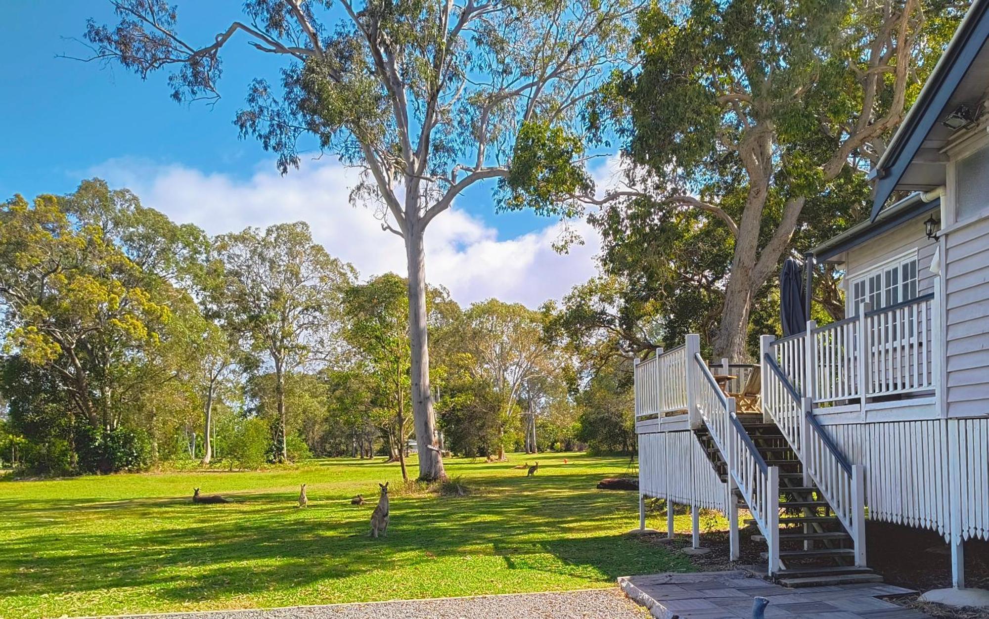 Lake Weyba Noosa Lodge & Kangaroos Peregian Beach Exterior photo